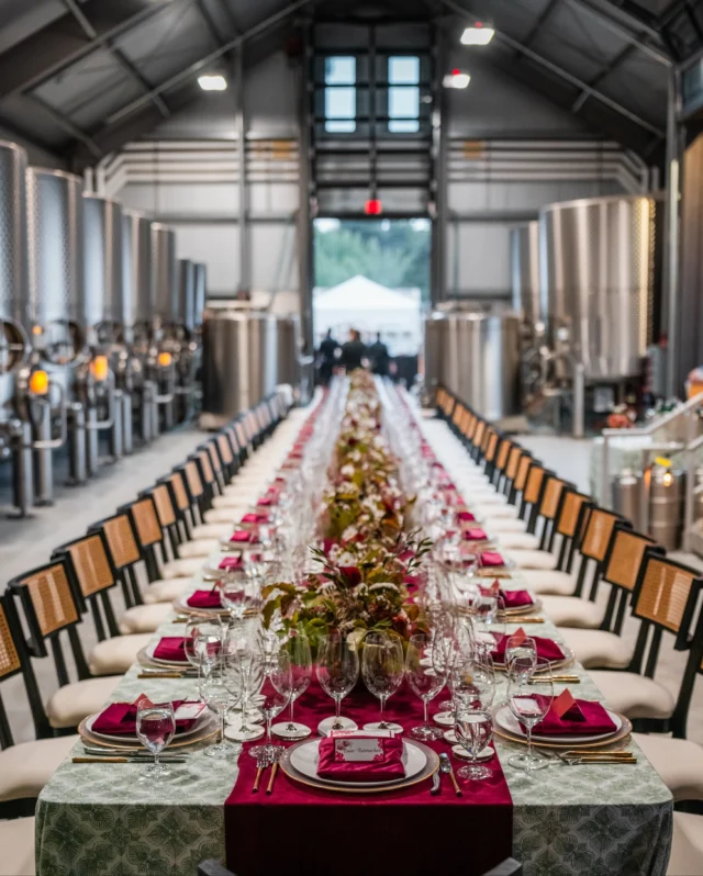 We threw a Switchback Ridge celebration at Dakota Shy! Bringing our Dakota Shy family and friends together over an exceptional meal from @lasaison_napa and a vertical of Dakota Shy Cabernet’s from Kelly Peterson’s @switchbackridge ! We toasted Kelly, her family’s incredible vineyard and the wines we’re lucky enough to make from it. Our Dakota Shy fans mixed, mingled, and savored the lineup, including the big reveal of our 2023 Dakota Shy old-vine Petite Sirah from vines planted by Kelly’s dad in 1956. All this happened in the fermentation room at the tail end of a jam-packed harvest day - sparkling clean after a busy harvest day of crushing Cabernet and tank pressing, it made for a beautiful setting. We couldn’t ask for better people or better energy!