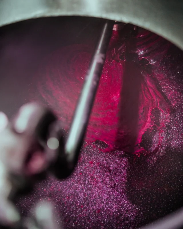 The heartbeat of fermentation. A deep swirl of color, movement, and life as the wine begins to take shape.