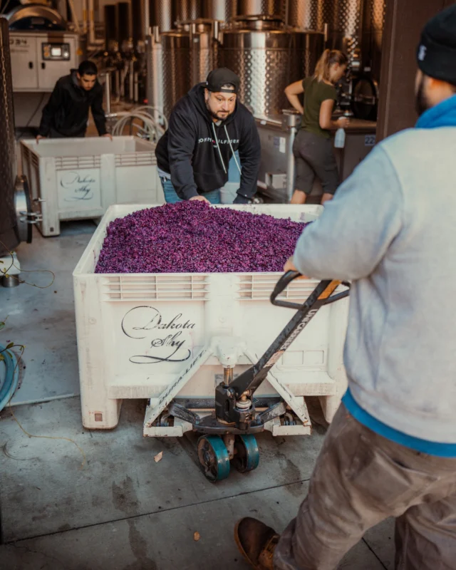 The team hard at work digging out a tank last week. Love seeing that beautiful rich color.