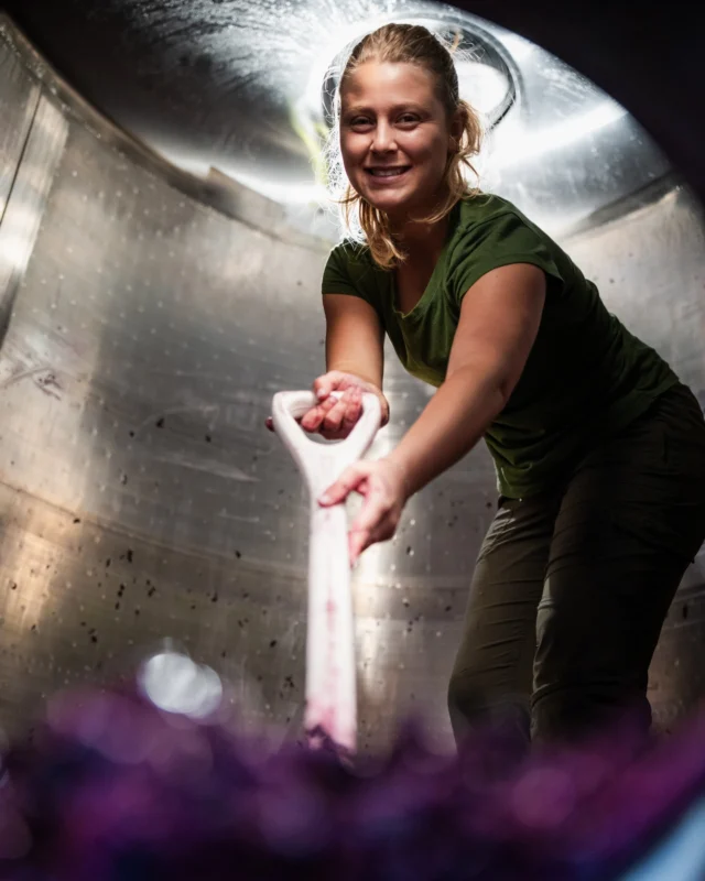 The cellar team hard at work digging out a tank — truly hands-on harvest, and the next step in bringing Dakota Shy wines to life.⁠
⁠
#DakotaShy #NapaHarvest #Winemaking #CellarLife #NapaValley #Harvest2025 #WineCountry