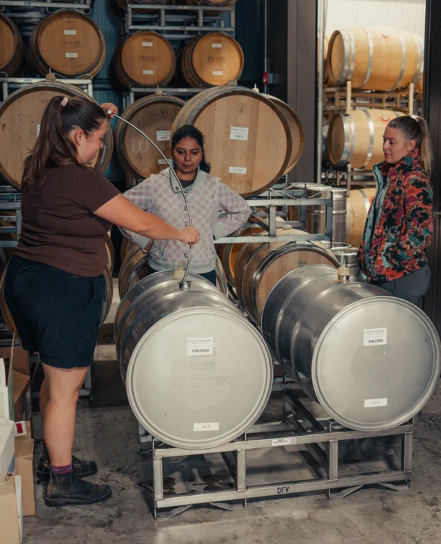 Here's to our 2025 interns —bringing their enthusiasm and passion for wine to Dakota Shy's harvest! ⁠
⁠
#DakotaShy #NapaValley #Harvest2025 #Winemaking #InternLife #WineCountry #CellarLife