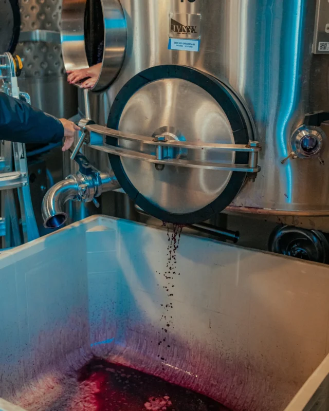 One of the best sights (and smells) of harvest — cracking open a tank to see what’s been quietly transforming inside.⁠
⁠
#DakotaShy #NapaValley #Harvest2025 #Winemaking #CellarLife #NapaHarvest #WineCountry