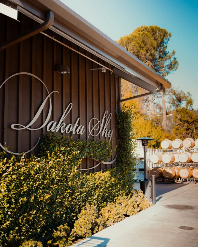 Golden light and quiet moments around the estate — a beautiful afternoon at Dakota Shy.⁠
⁠
#DakotaShy #NapaValley #WineCountry #NapaWinery #EstateLife #GoldenHour #VineyardViews